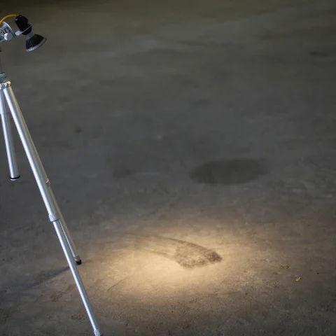Tripod Light